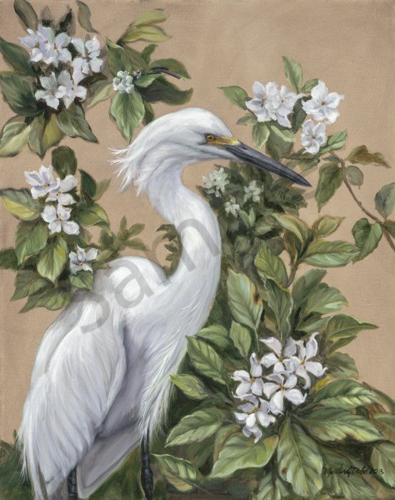 Snowy Egret print