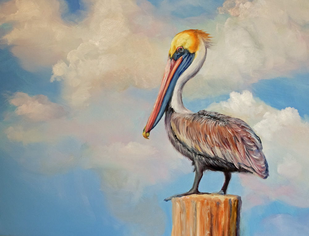 Brown Pelican store Hand Painted on Glass